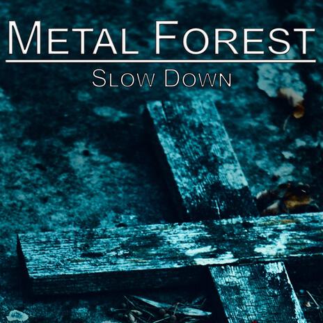 Slow Down | Boomplay Music