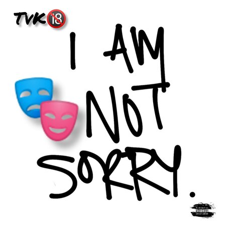 Not Sorry | Boomplay Music