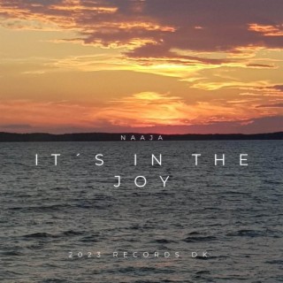 It´s in the joy lyrics | Boomplay Music