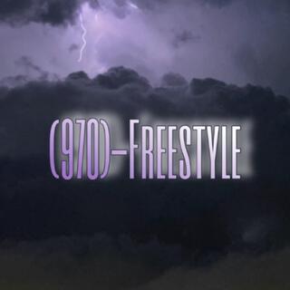 (970)-FREESTYLE