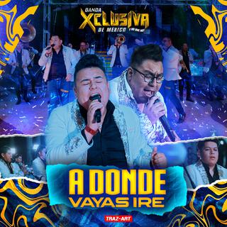 A Donde Vayas Iré (En vivo)