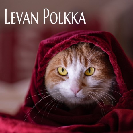 Levan Polkka | Boomplay Music