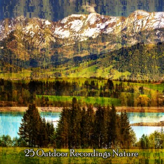 25 Outdoor Recordings Nature