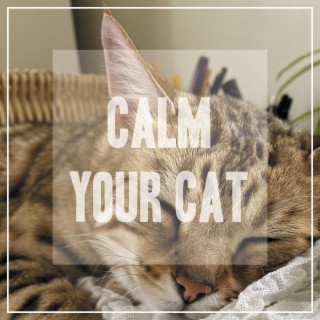 Calm Your Cat