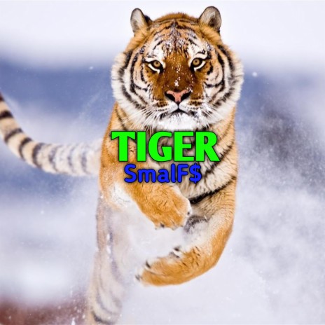 Tiger | Boomplay Music