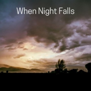 When Night Falls