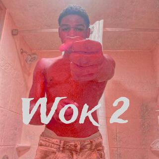 Wok 2