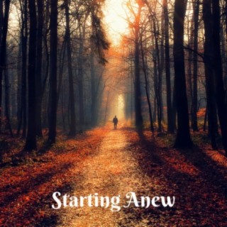 Starting Anew