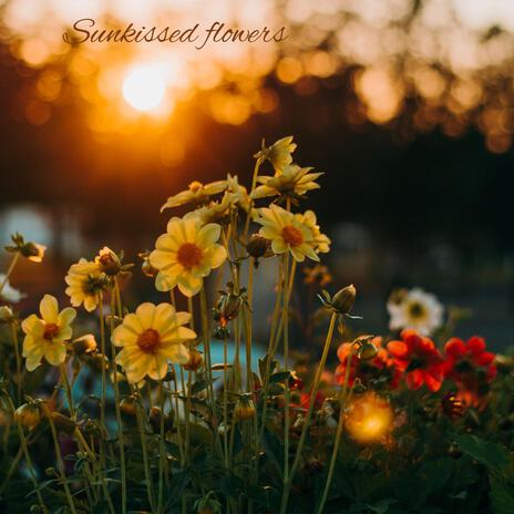 Sunkissed Flowers | Boomplay Music