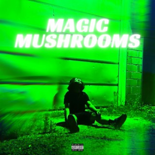 Magic Mushrooms lyrics | Boomplay Music