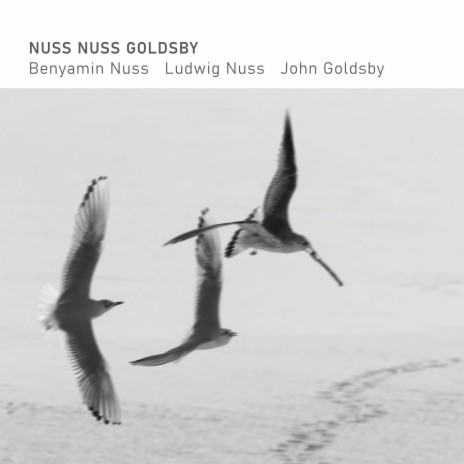 Caress ft. Ludwig Nuss & John Goldsby | Boomplay Music