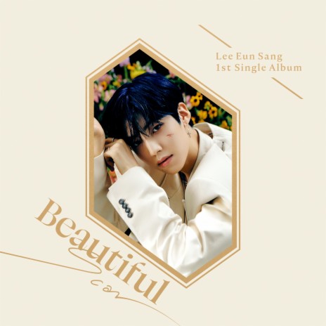 Beautiful Scar (Inst.) | Boomplay Music