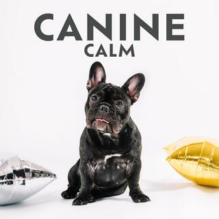 Canine Calm: Pet Hz Therapy for Anxiety Relief, Harmony and Peace, Animal Reiki