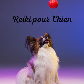 Reiki pour Chien : musique de zoothérapie pour une relaxation profonde