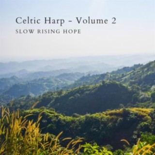 Celtic Harp, Vol. 2