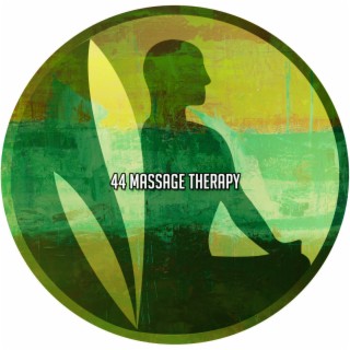 44 Massage Therapy