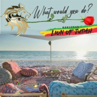 What Would You Do lyrics | Boomplay Music
