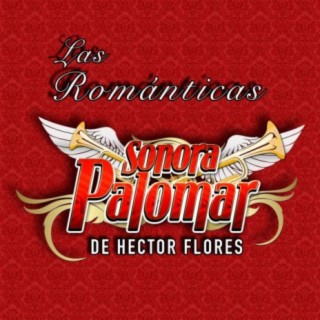 Sonora Palomar