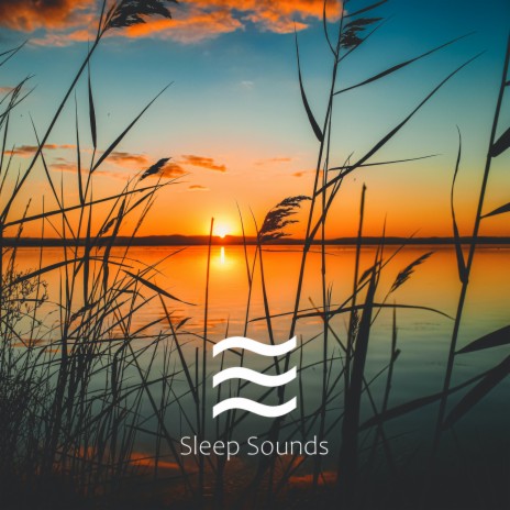 Restful Deep Sleep Sough | Boomplay Music