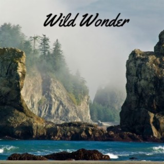 Wild Wonder