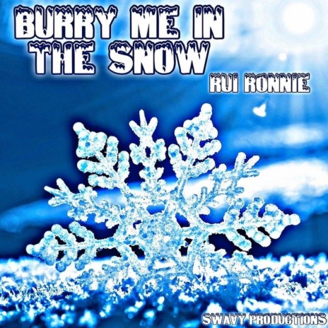 Bury Me in Snow | Boomplay Music