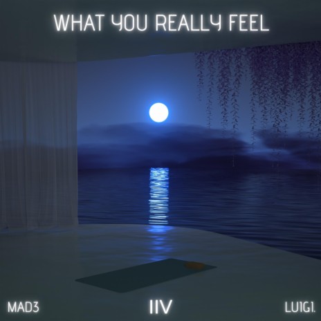 What You Really Feel ft. MAD3 & Luigi Neighbours | Boomplay Music