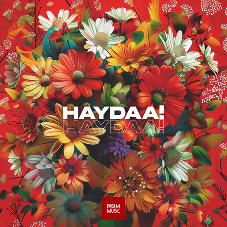 Haydaa | Boomplay Music