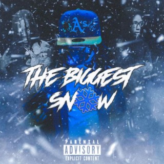 The Biggest Snow