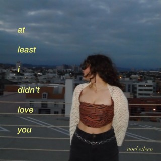 at least i didn't love you | Boomplay Music
