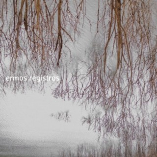 Ermos Registros | Boomplay Music