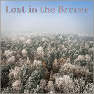 Lost in the Breeze (ft. Homson)