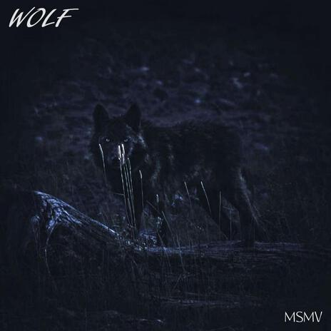 Wolf | Boomplay Music