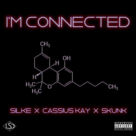 I'm Connected ft. Cassius Kay & Skunk | Boomplay Music