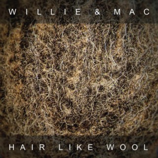 Hair Like Wool