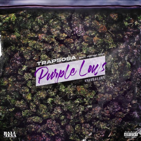 Purple Lows | Boomplay Music