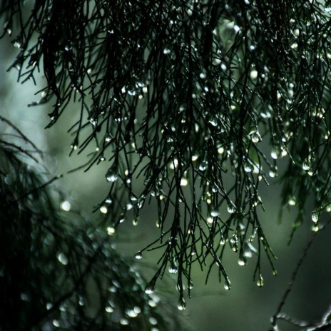 Suelta el sonido de la lluvia ft. Lluvia Relajante/Sonido calmante de la lluvia
