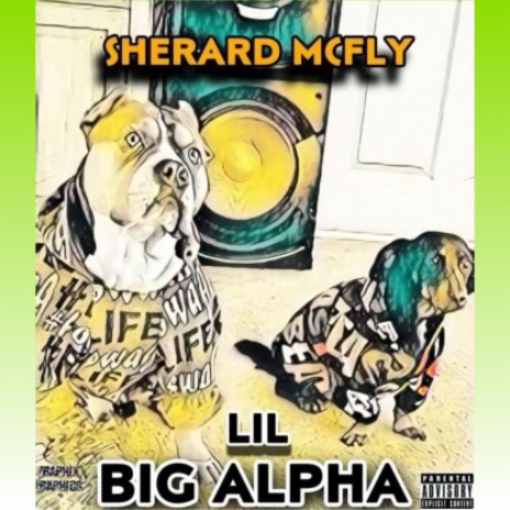 Lil Big Alpha | Boomplay Music