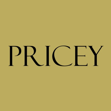 Pricey | Boomplay Music