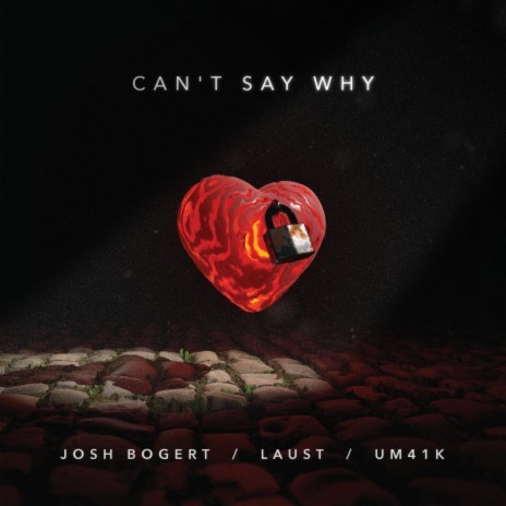 Can't Say Why ft. Laust & Um41k | Boomplay Music