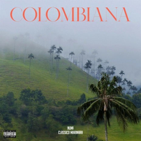 Colombiana ft. Numi | Boomplay Music