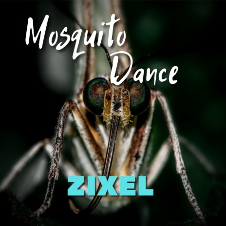 Mosquito Dance | Boomplay Music