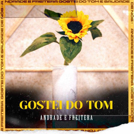 Gostei Do Tom ft. Andrade & Freitera