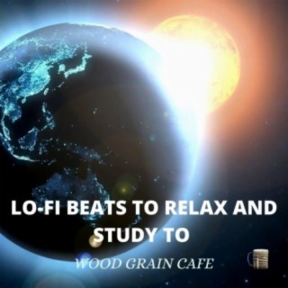 Lo-fi Beats To Relax and Study To, Vol. 22