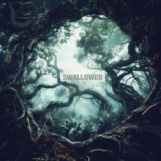 Swallowed