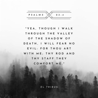 Psalms 23:4