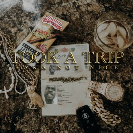 Took A Trip | Boomplay Music