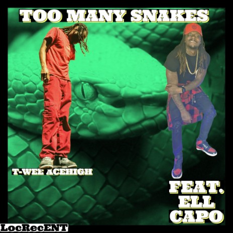 Too Many Snakes ft. Ell Capo | Boomplay Music