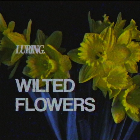 Wilted Flowers