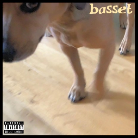 St. Basset Hound | Boomplay Music