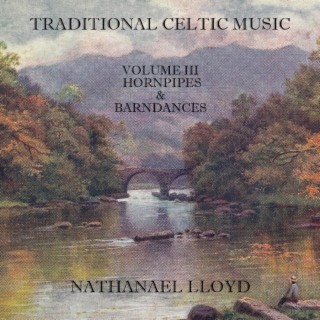 Traditional Celtic Music: Volume III—Hornpipes and Barndances